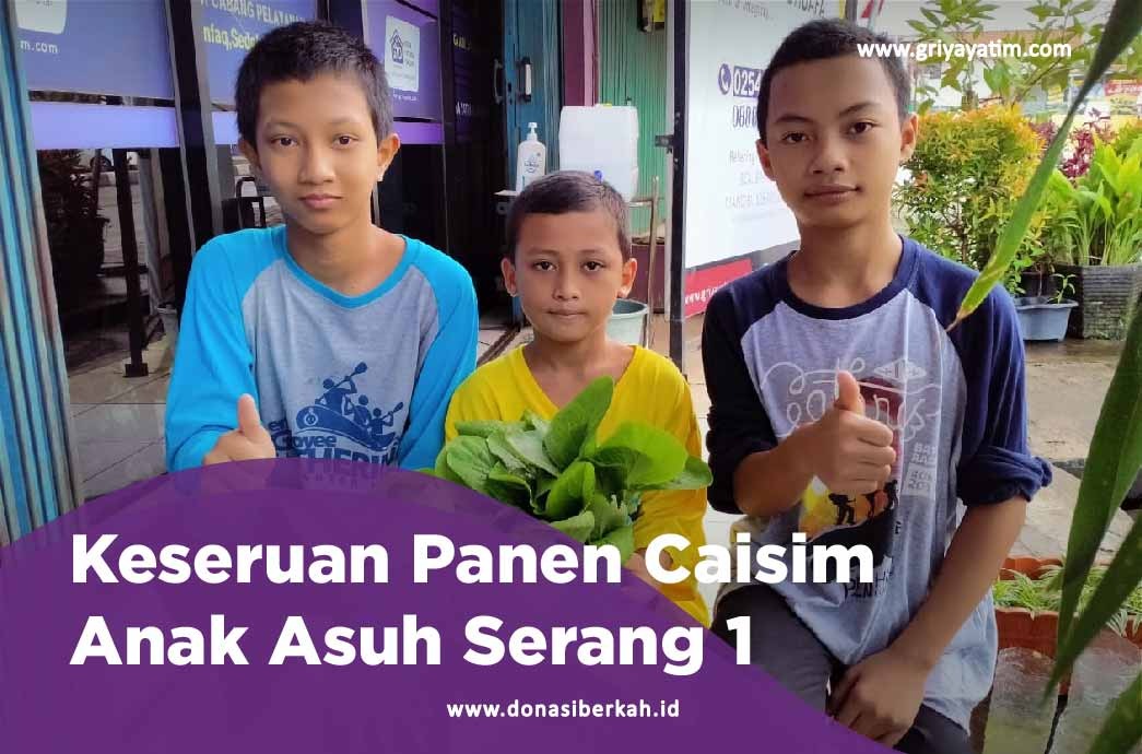 Keseruan Panen Caisim Asuh Serang 1