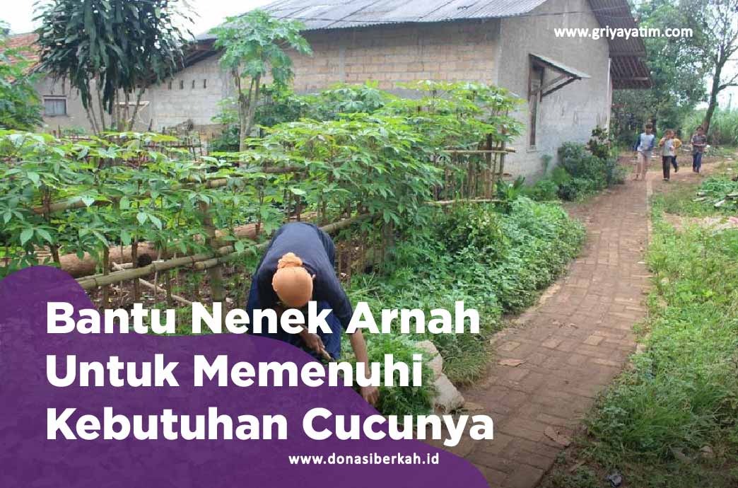 Bantu Nenek Arnah Untuk Memenuhi Kebutuhan Cucunya