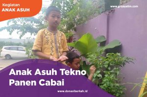 anak asuh tekno panen cabai-04