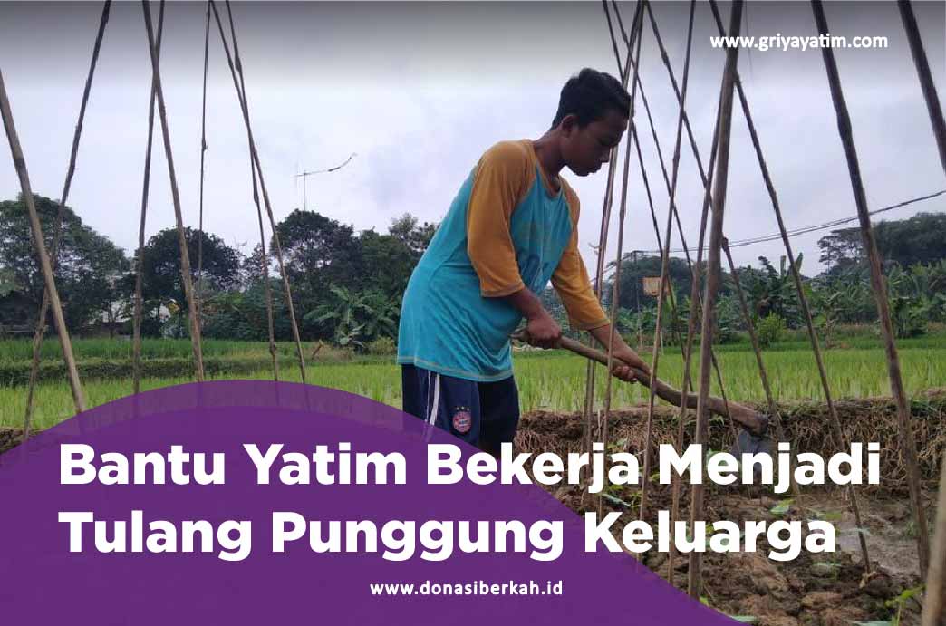 Bantu Yatim Bekerja Menjadi Tulang Punggung Keluarga