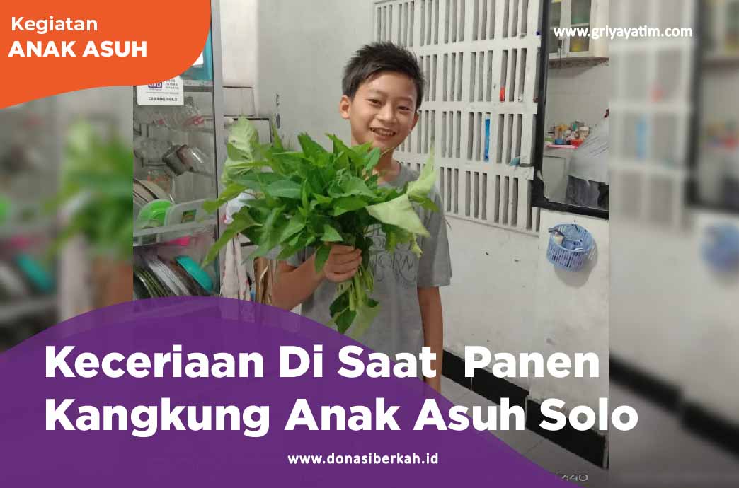 Keceriaan Di Saat Panen Kankung Anak Asuh Solo