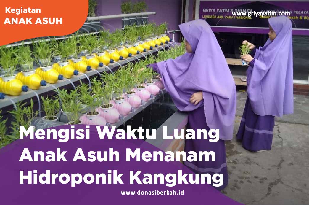 Mengisi Waktu Luang Anak Asuh Menanam Hidroponik Kangkung