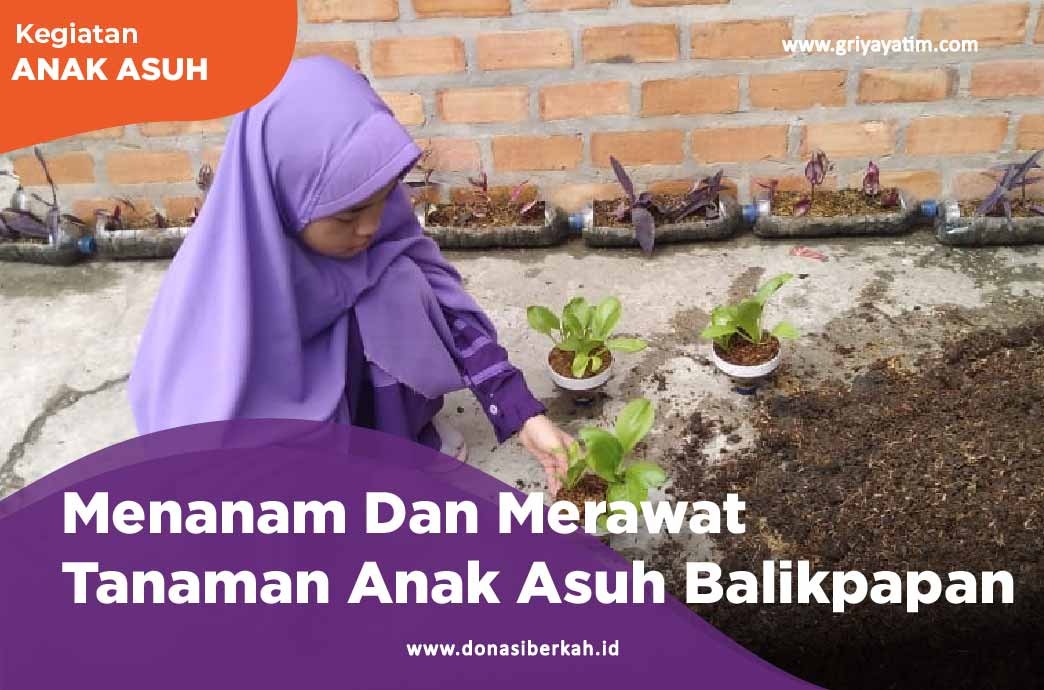 Menanam Dan Merawat Tanaman Anak Asuh Balikpapan