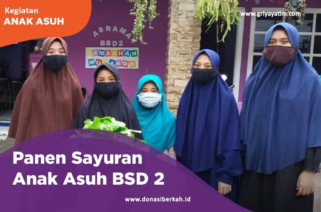 Panen Sayuran Anak Asuh BSD 2