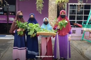 Semangat Panen Kangkung Anak Asuh BSD 2