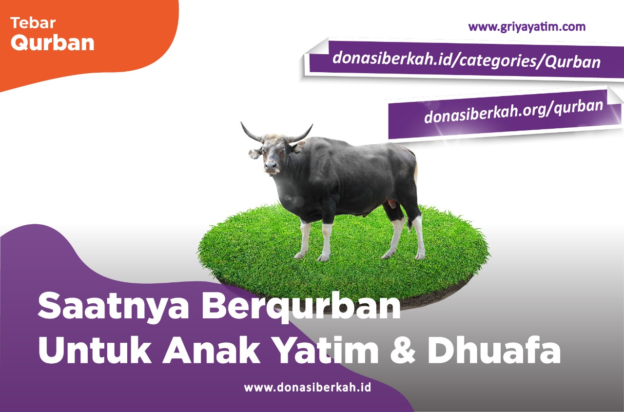 Saatnya Berqurban Untuk Anak Yatim & Dhuafa